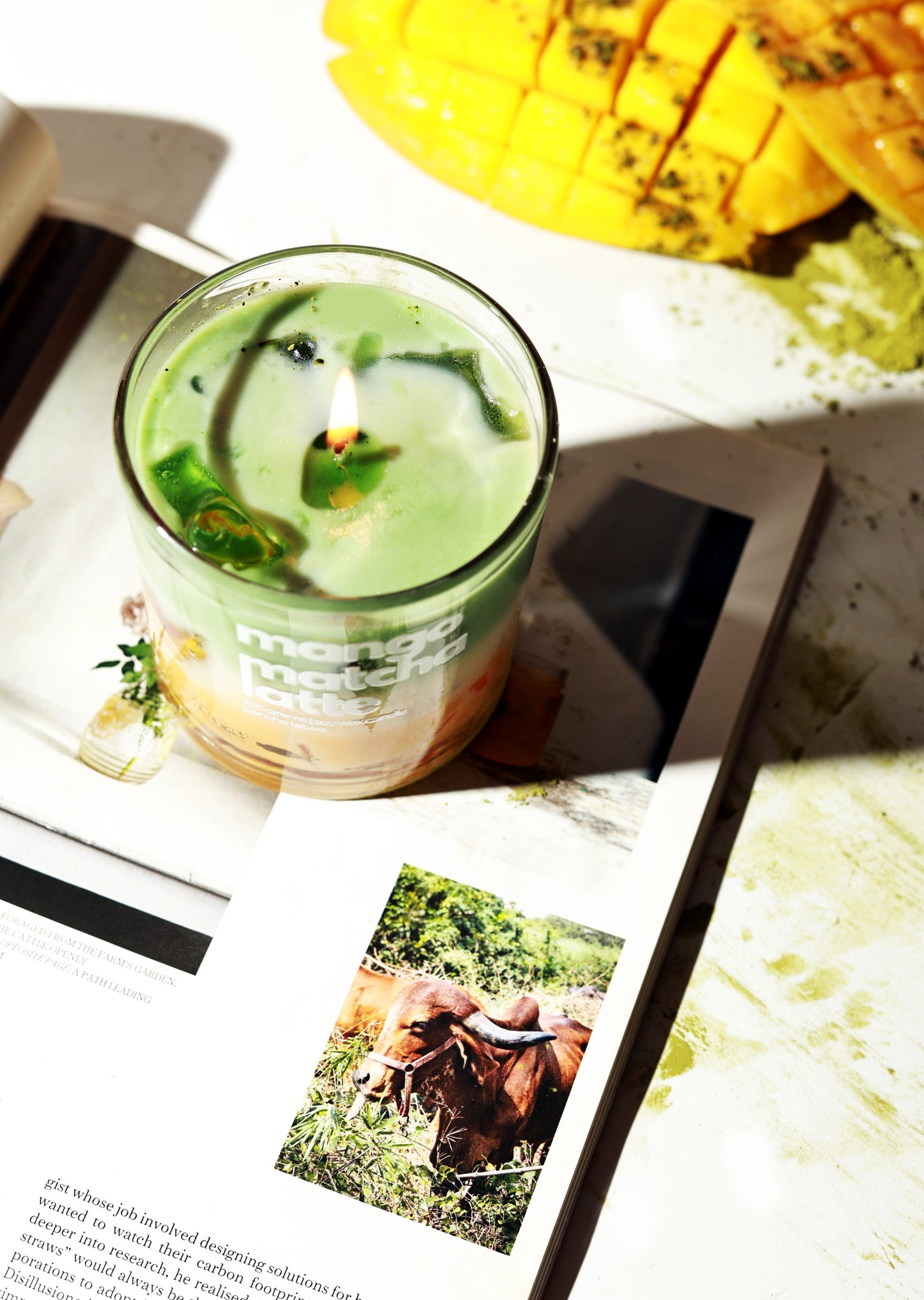 Mango Matcha Latte Candle